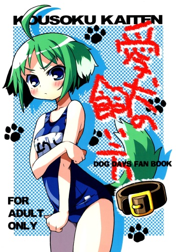 Aiken no Kaikata cover