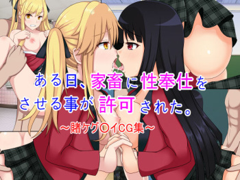 Aruhi, Kachiku ni Seihoushi o Saseru Koto ga Kyoka Sareta. ~Kakegurui CG Shuu~ cover
