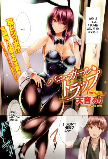 The Bunny Girl Trap   =TLL + SH= cover