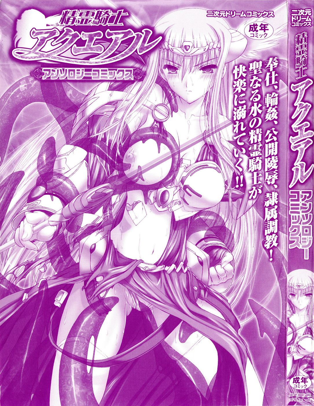 Seirei Kishi Aquael Anthology Comics page 9 full
