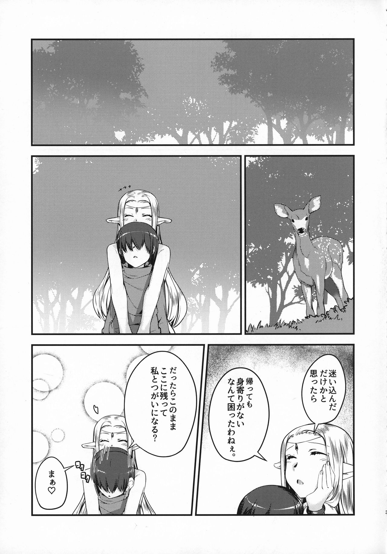 Ammobium page 5 full