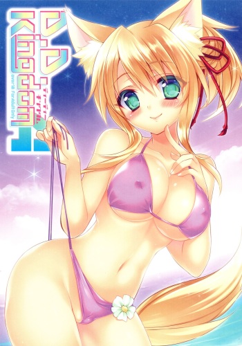 D.D.Kingdom4 cover