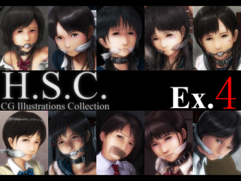 H.S.C. Illust Collection Ex.4 cover