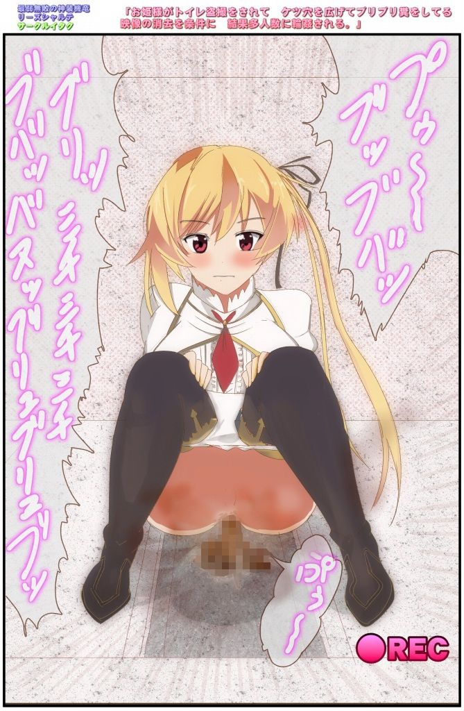 Ohimesama ga Toilet Tousatsu o sarete Ketsu Ana o Hirogete Buriburi Kuso o shiteru Eizou no Shoukyo o Jouken ni Kekka Taninzuu ni 〇 Kan sareru. page 3 full