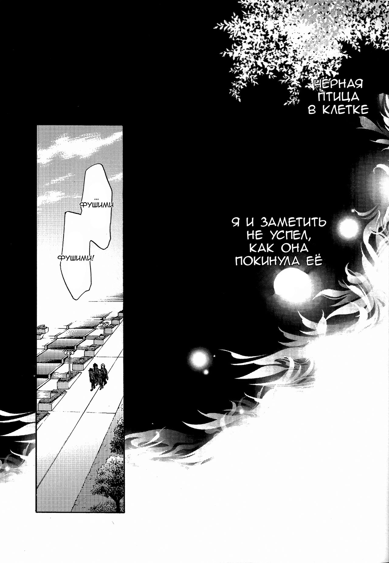 Shiawase no Kuroi Tori | Чёрная птица счастья page 8 full
