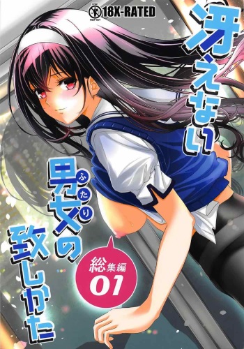 Saenai Futari no Itashikata Soushuuhen Vol. 01 cover