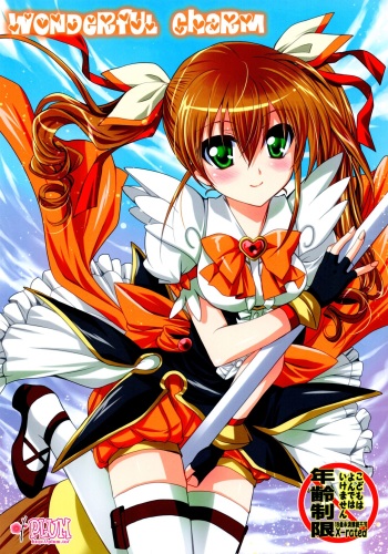 Wonderful Charm cover