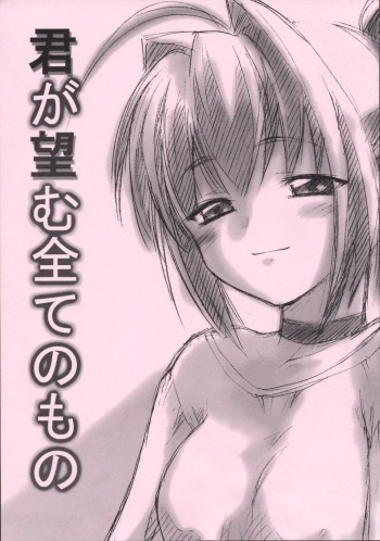 Kimi ga Nozomu Subete no Mono cover