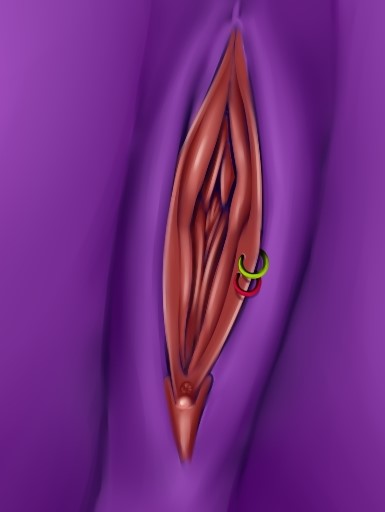 my pussy collection for photoshop page 4 full
