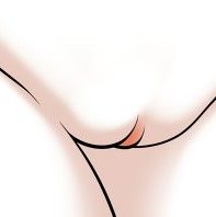 my pussy collection for photoshop page 8 full