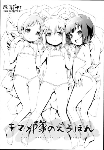 Chimametai no Erohon cover