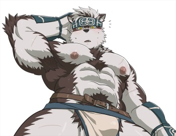 Housamo cover