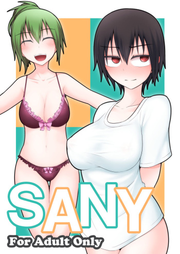 SANY cover