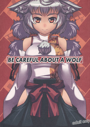 BE CAREFUL ABOUT A WOLF cover