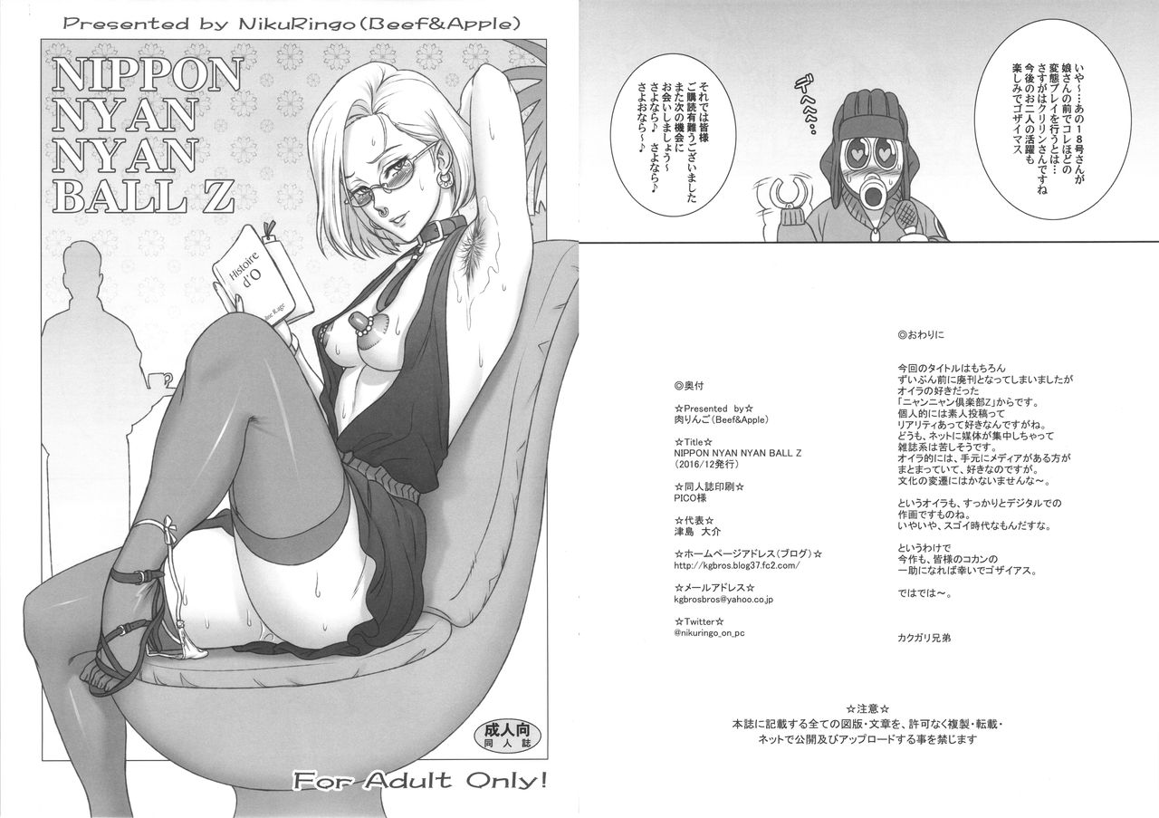 NIPPON NYAN NYAN BALL Z page 1 full