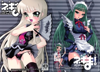 Mahou Sensei Negima! Mainax 2 cover