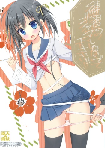 Renshuu no Jama Shinaidekudasai!! cover