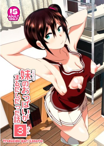 Imouto no Oppai ga Marudashi Datta Hanashi 3 cover
