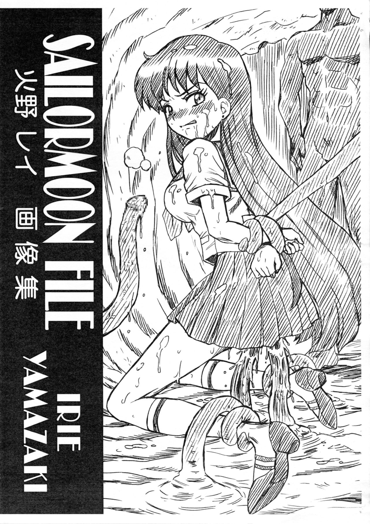 SAILORMOON FILE Hino Rei Gazoushuu page 1 full
