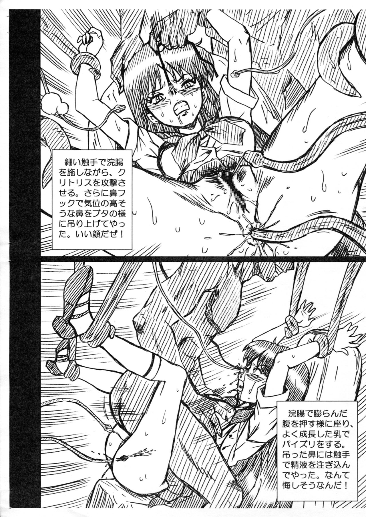 SAILORMOON FILE Hino Rei Gazoushuu page 4 full