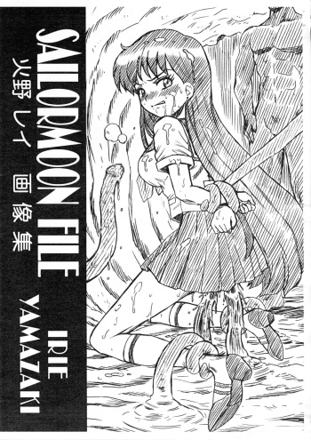 SAILORMOON FILE Hino Rei Gazoushuu cover