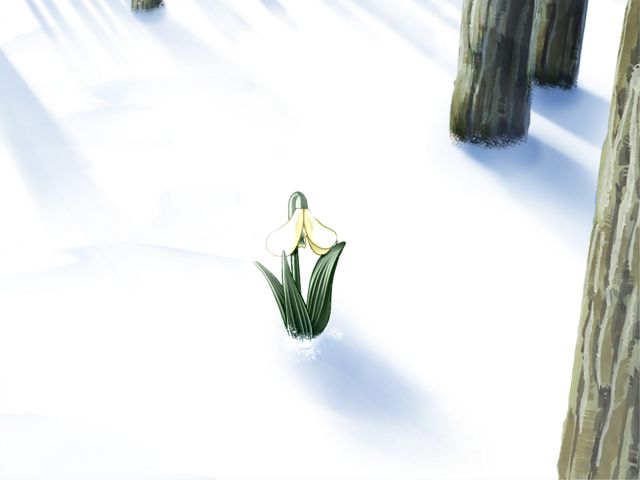 Snow Drop page 2 full