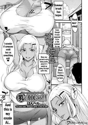 Chichi de Negai o!! - Make A Wish On These Breasts cover