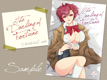The Darling of Fortune cover