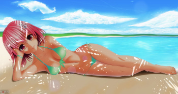 Momo at the beach cover