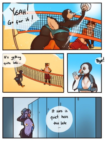Volleyball cover