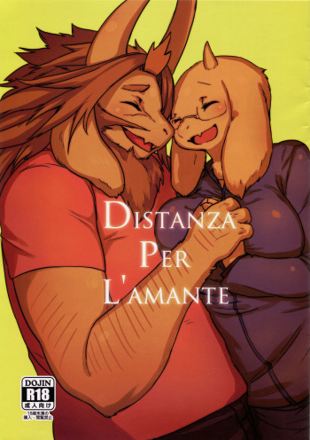DISTANZA PER L'AMANTE cover