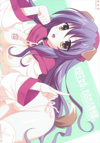 Inumimi Oujo no, Wafu Wafu Hatsujouki. cover