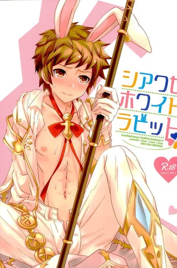 Shiawase White Rabbit cover