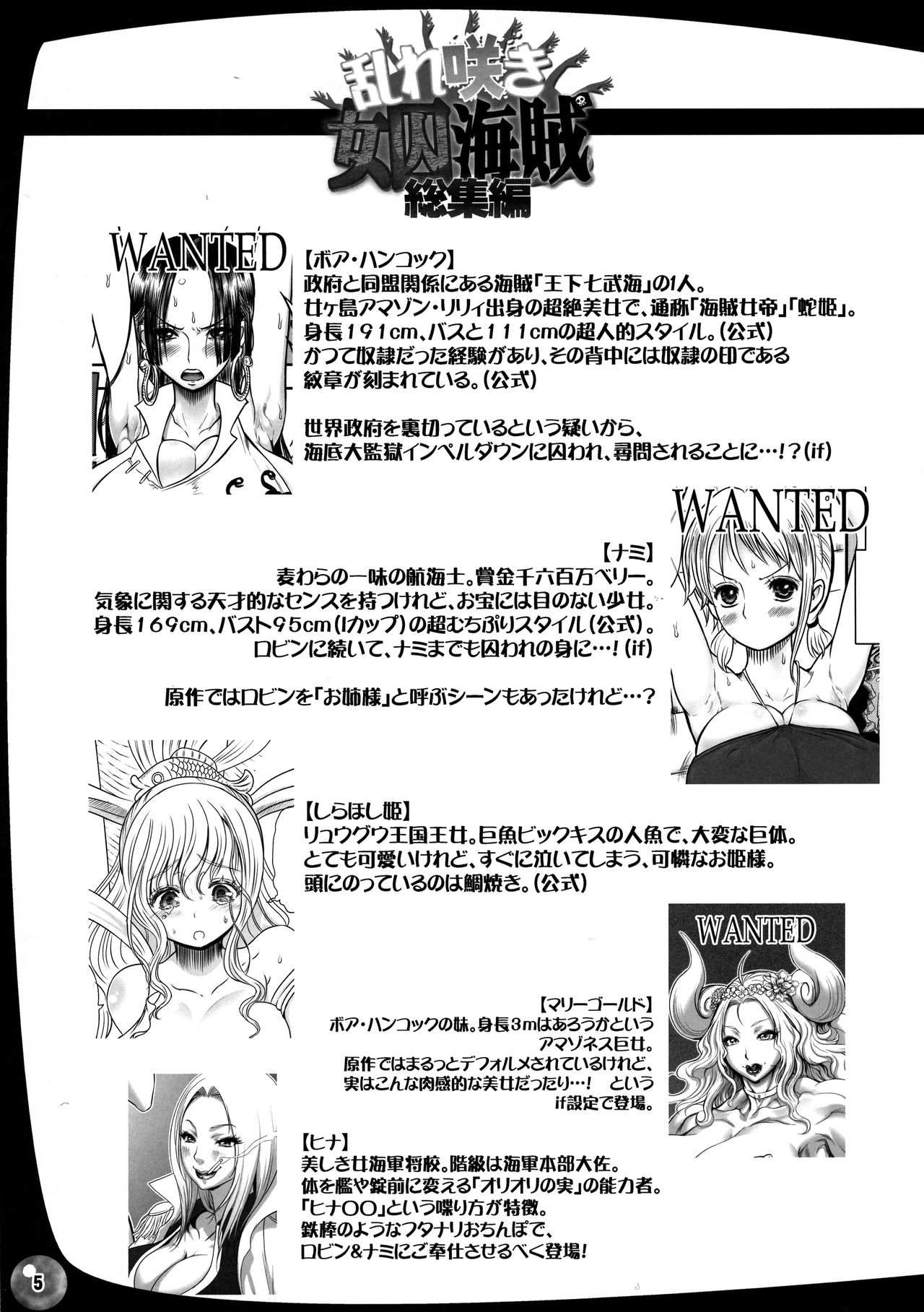 Midare Saki Joshuu Kaizoku Soushuuhen page 5 full