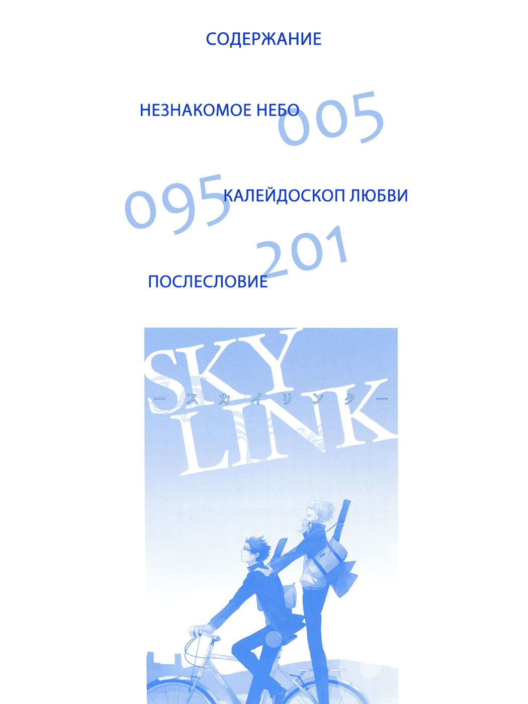 Sky Link | Незнакомое небо page 4 full
