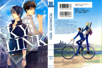 Sky Link | Незнакомое небо cover