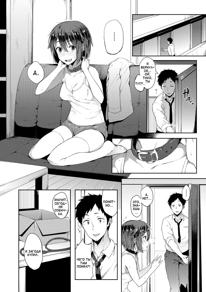 Wonder Collar | Чудо-ошейник page 2 full