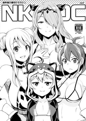NKDC Vol. 2 cover