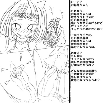 Boukoku Oujo no Shimai, Imouto ni Muhyoujou Kotei de Zecchou Zeme Choukyou o Hodokosareru Ane cover