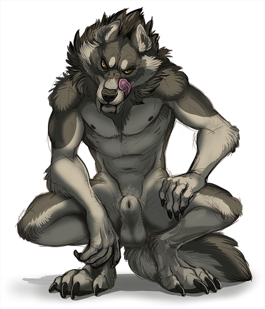 Furry wolfs collection page 2 full