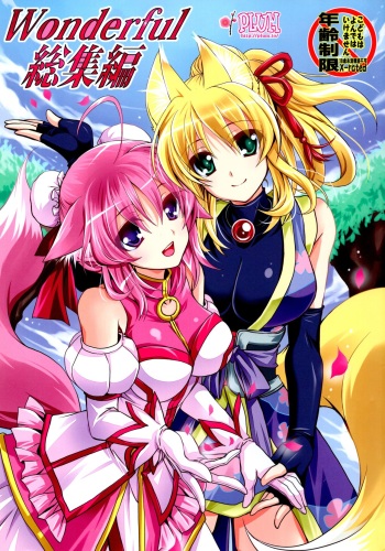 Wonderful Soushuuhen cover