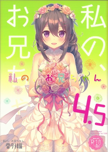 Watashi no, Onii-chan 4.5 Bangaihen cover
