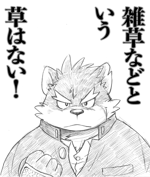 裸がちサモナーズ page 6 full