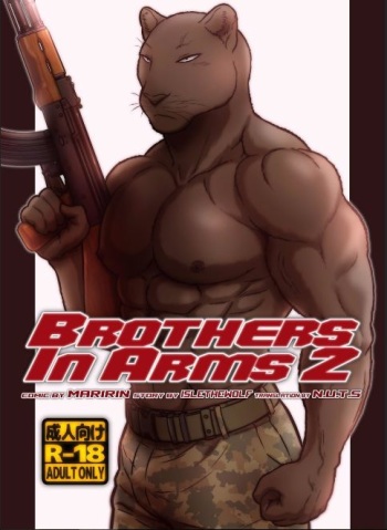 Brothers in Arms 2 cover