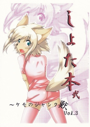 ショタ本２～Vol.13～（表紙は別の方・許可済） cover
