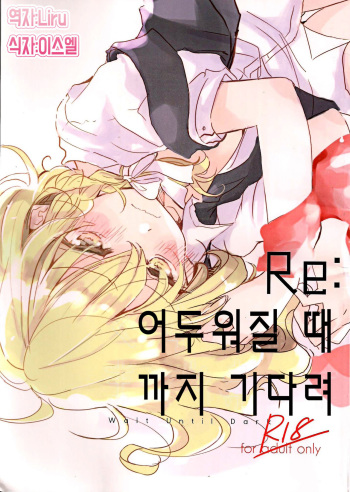 Re: Kuraku Naru made Matte | Re: 어두워질 때까지 기다려 cover