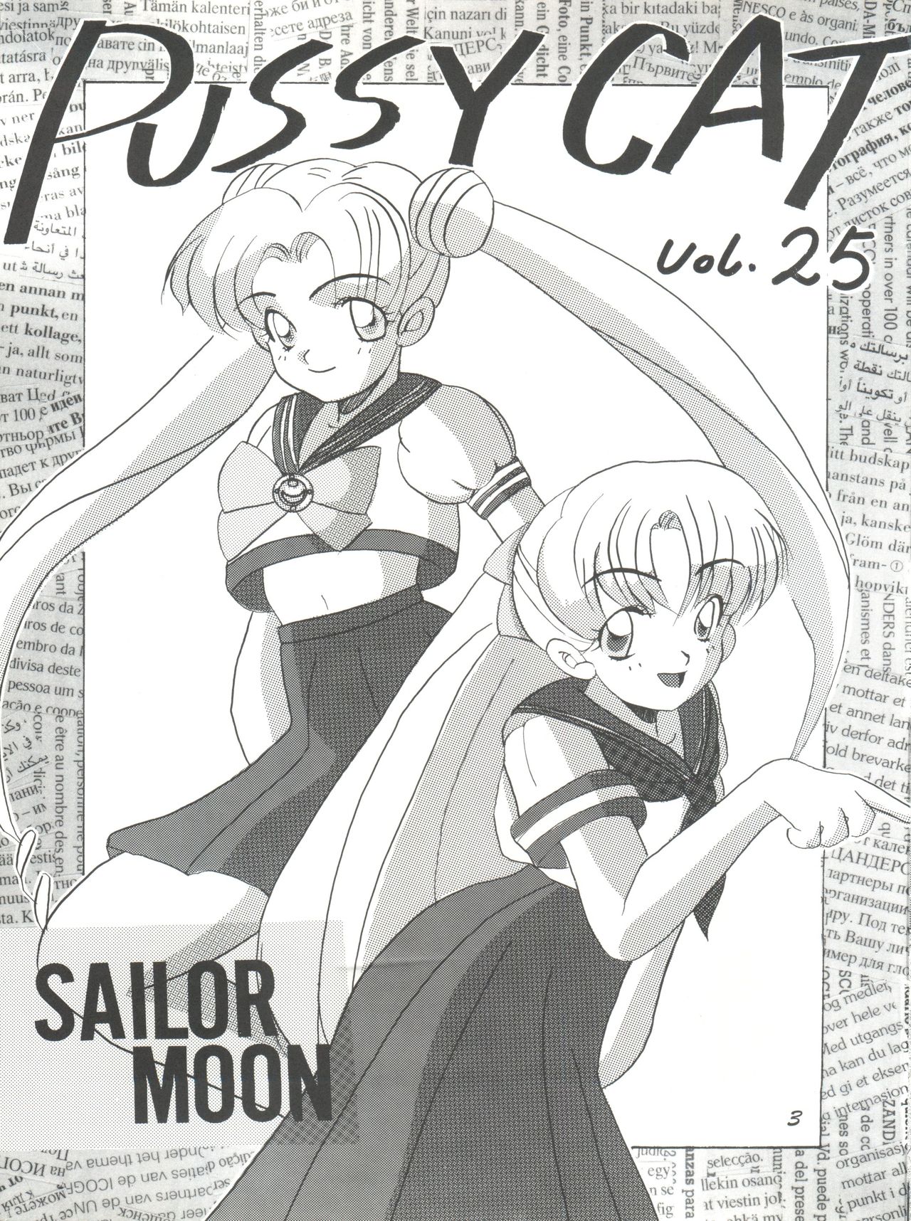 Pussy Cat Vol. 25 Sailor Moon 2 page 3 full