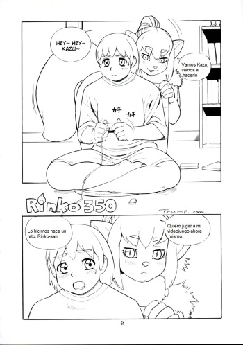 Rinko 350 cover