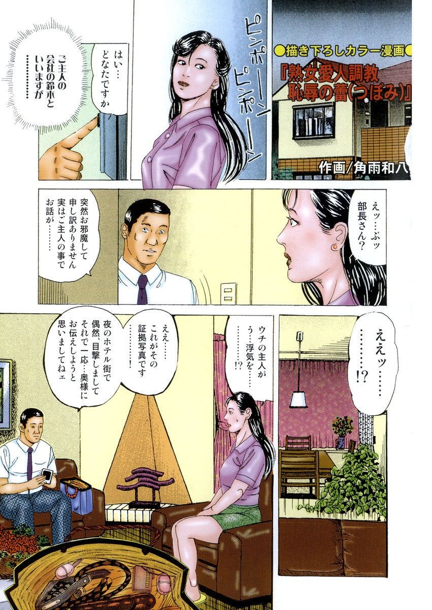 Nyohan ~Hitozuma Ryoujoku Rape Shuu~ Tsunoame Kazuya Gekigasen page 3 full