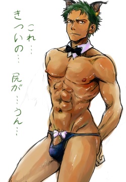 One piece: zoro roronoa part.2